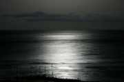 small_img_1226