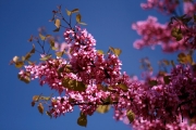 tn_img_0573