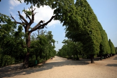 tn_IMG_0879