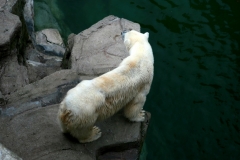 tn_IMG_0893