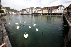 small_img_7276
