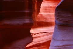 web_10_img_7630
